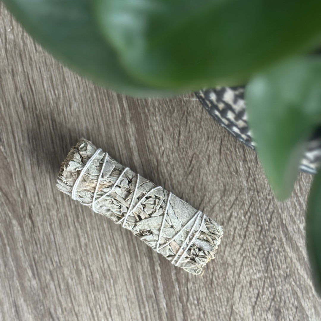 Sage Bundle
