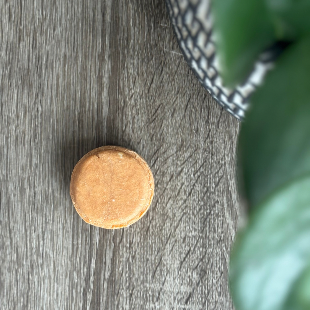 Cocoa Butter Shampoo Bar