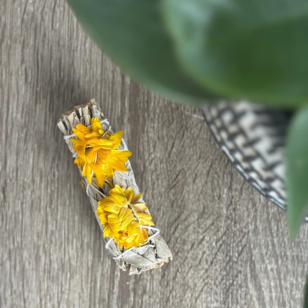 Sage + Sunflower Bundle