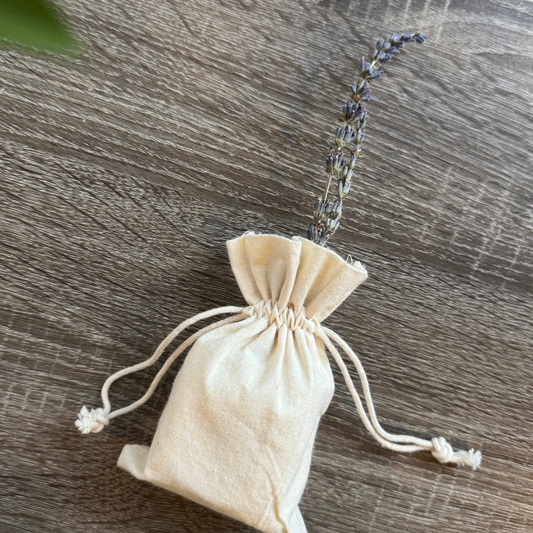 Rosemary Shampoo Set